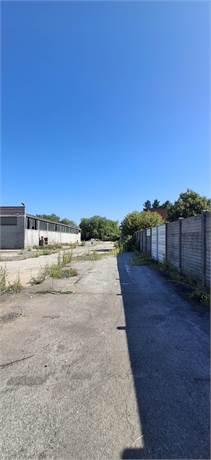 Photo 27